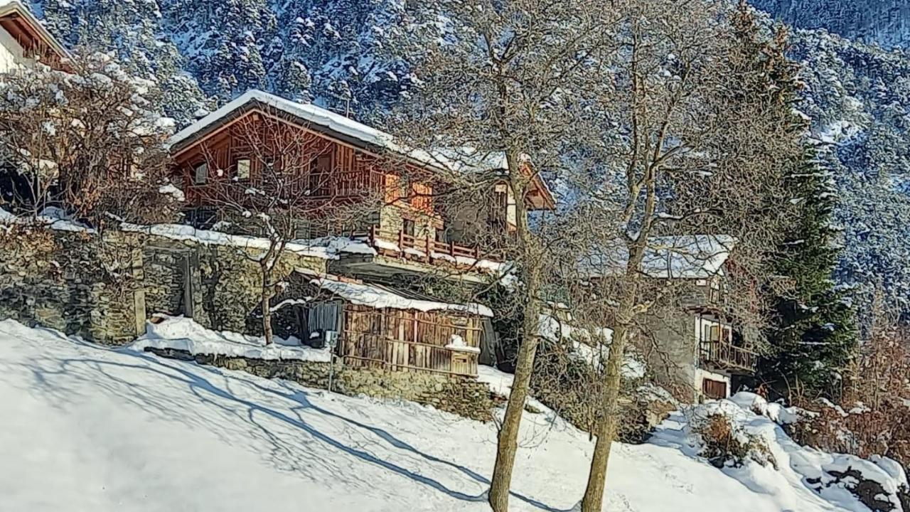 Eco Chalet Maison Dominique Challand-Saint-Anselme Exteriör bild